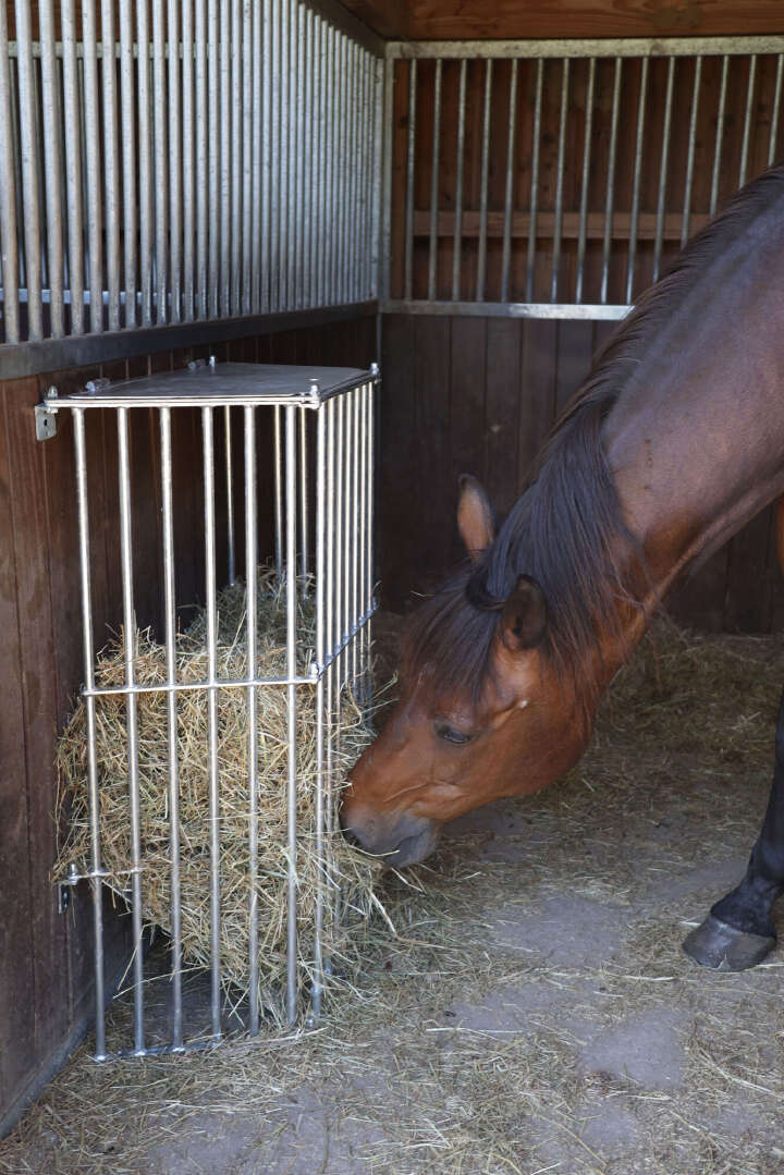 KERBL Wandraufe SlowFeed Plus